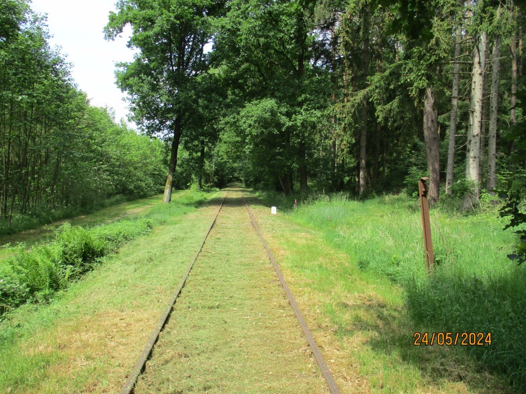 ZWNEGI21